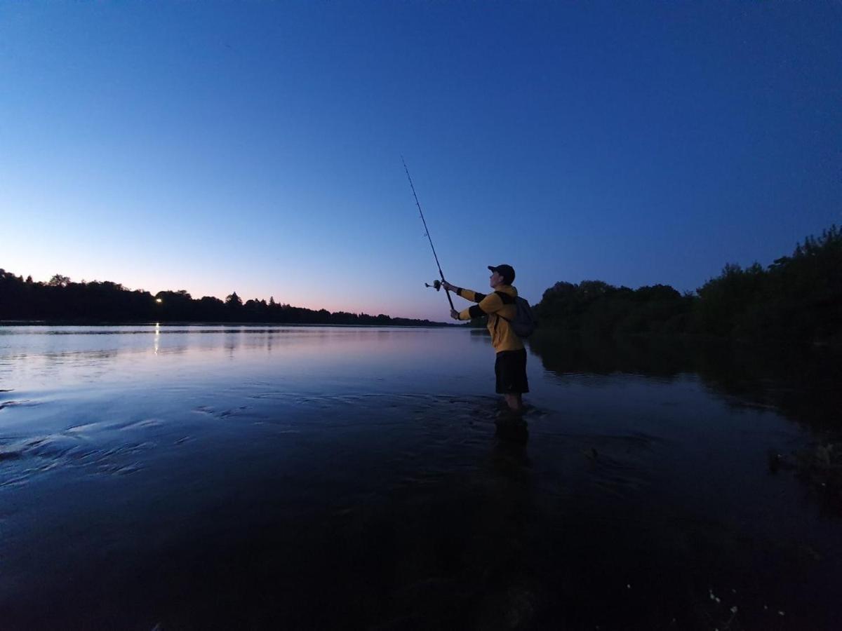 Gite Du Parc Des Mauves Meung-sur-Loire Eksteriør bilde