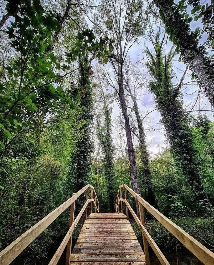 Gite Du Parc Des Mauves Meung-sur-Loire Eksteriør bilde
