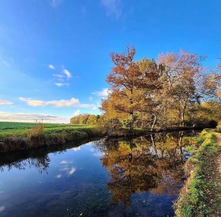 Gite Du Parc Des Mauves Meung-sur-Loire Eksteriør bilde