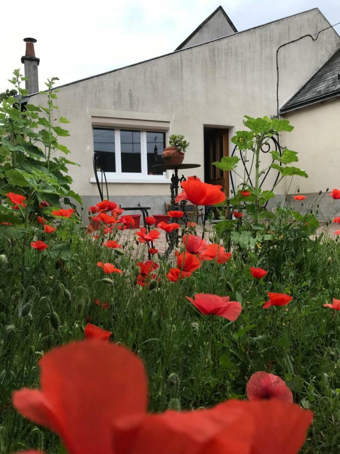 Gite Du Parc Des Mauves Meung-sur-Loire Eksteriør bilde